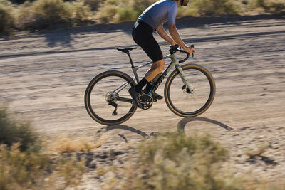 Giant Revolt Advanced 0 click to zoom image