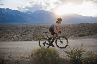 Giant Revolt Advanced 0 click to zoom image