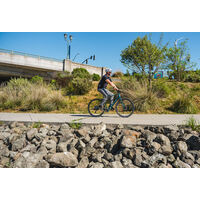 Marin Fairfax E click to zoom image